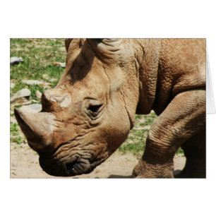 CARTES DE REMARQUE PHOTOS ANIMALES