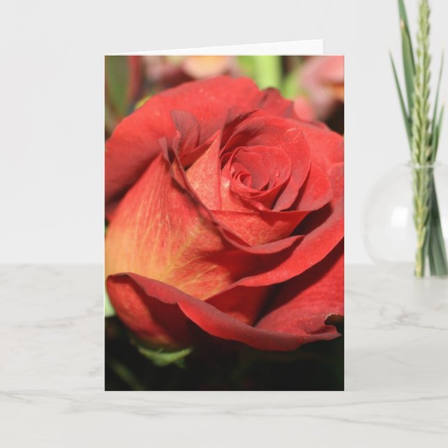 CARTES DE REMARQUE ROSE (Devant)