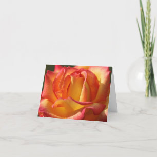CARTES DE REMARQUE ROSE DE PÊCHE