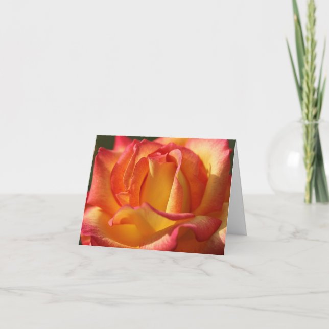 CARTES DE REMARQUE ROSE DE PÊCHE (Devant)