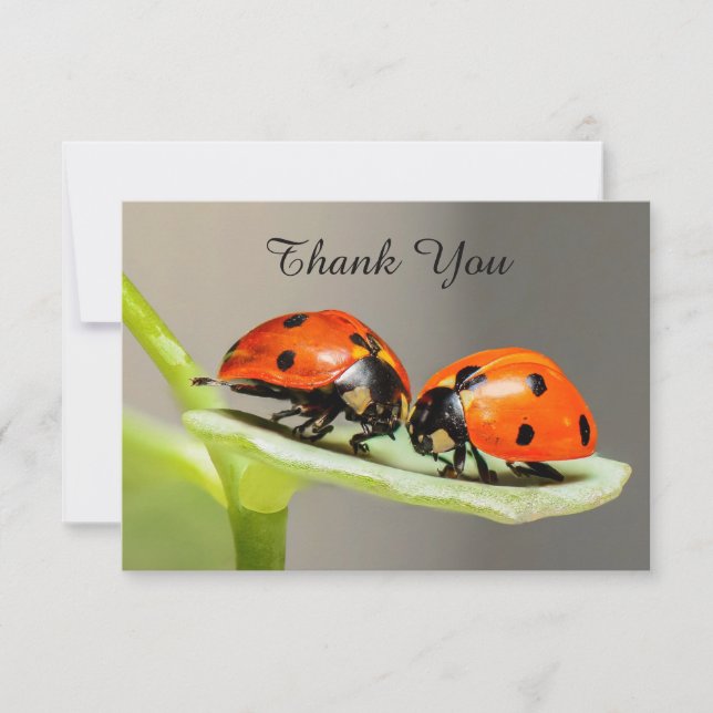 Cartes de remerciement coccinelles coléoptères à p (Devant)