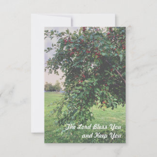 Cartes de remerciement de l'arbre simple