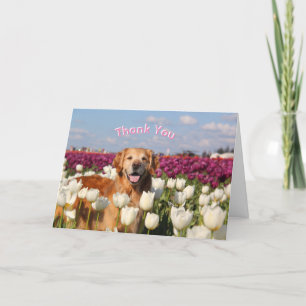 Cartes de remerciements ParkerPup