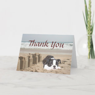 Cartes de remerciements Sandcastles de Boston Terr