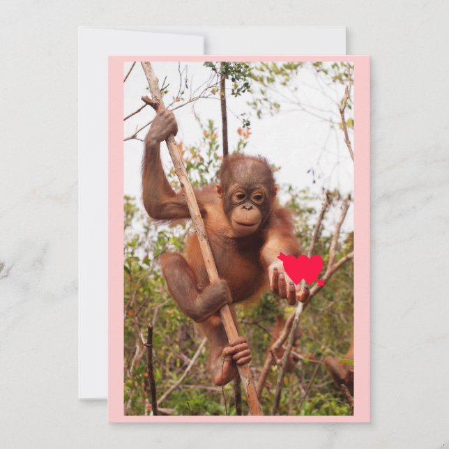 Cartes de Saint-Valentin Orangoutan (Devant)