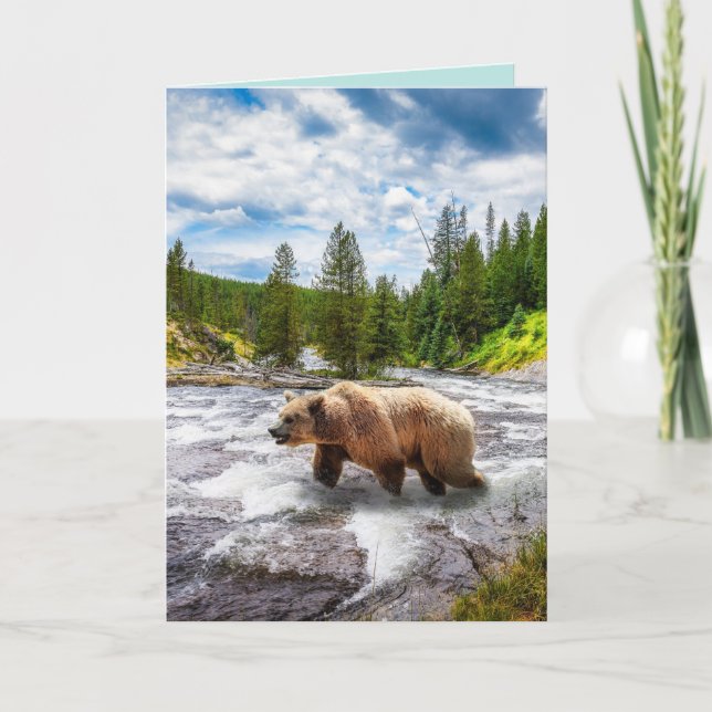 CARTES DE SALUT D'ANNIVERSAIRE DE L'ALASKA (Devant)