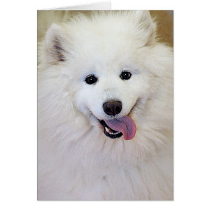 Cartes de salutation/note de race de chien de