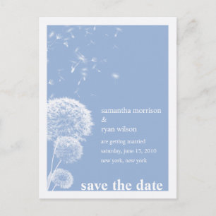 Cartes de Sauvegarde de Dandelions Blancs