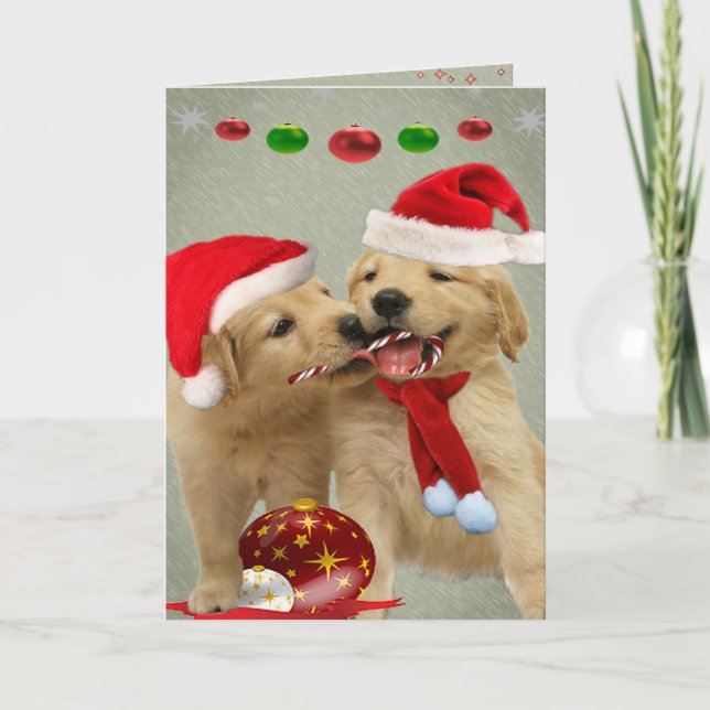 Cartes de sucre de canne de part de chiots de (Devant)