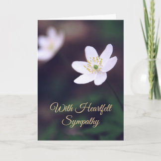 Cartes de sympathie florales de fleurs sauvages de