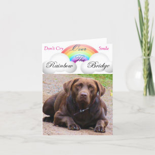 Cartes de Sympathie pour le chien j/ récupérateurs