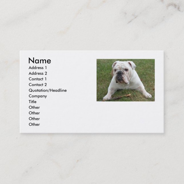 Cartes de visite anglais de bouledogue (Devant)
