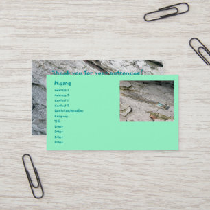 Cartes de visite Aqua Damselfly