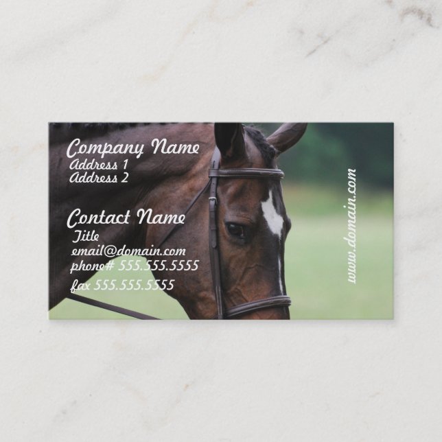 Cartes de visite Arabes doux de cheval (Devant)