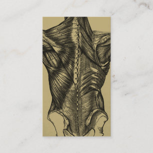 Cartes de visite arrières d'anatomie de cru