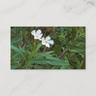 CARTES DE VISITE ART ET DESIGN