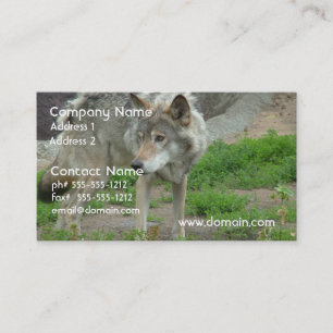 Cartes de visite attentifs de loup