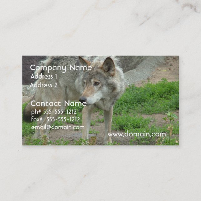 Cartes de visite attentifs de loup (Devant)