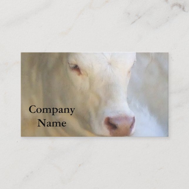 Cartes de visite blancs de vache (Devant)