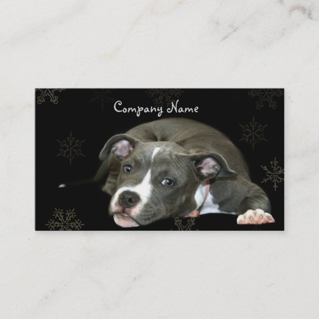 Cartes de visite bleus de chiot de Pitbull (Devant)