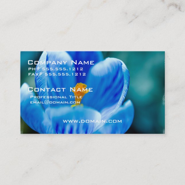 Cartes de visite bleus de crocus (Devant)