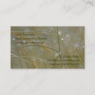 Cartes de visite couverts de rosée de paysage ou