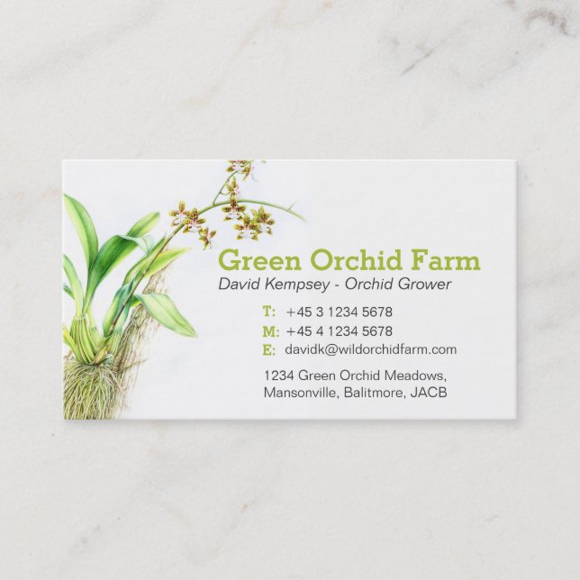 Cartes de visite d'art de cultivateur (Devant)