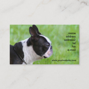 Cartes de visite de Boton Terrier
