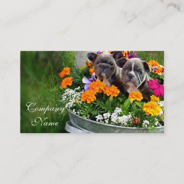 Cartes de visite de bouledogue français (Devant)
