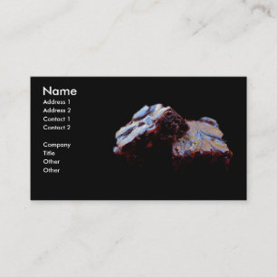 Cartes de visite de "brownie"