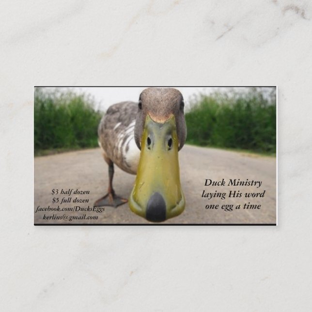 cartes de visite de canard (Dos)
