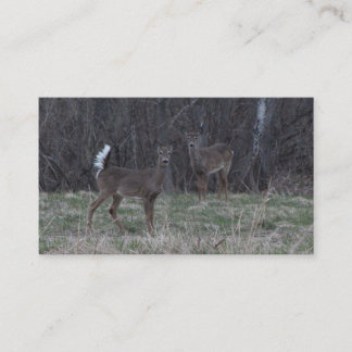 Cartes de visite de cerfs communs de queue blanche