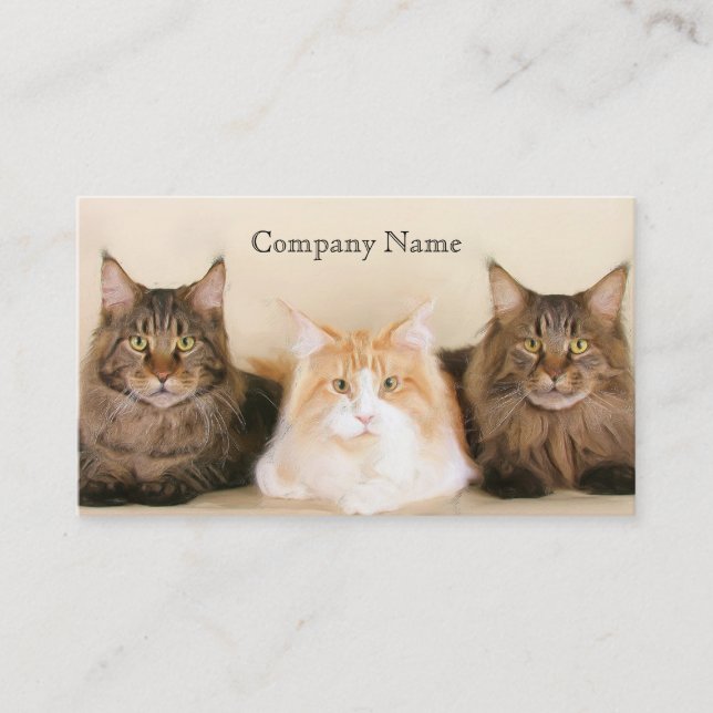 Cartes de visite de chats de ragondin du Maine (Devant)