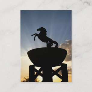 cartes de visite de cheval