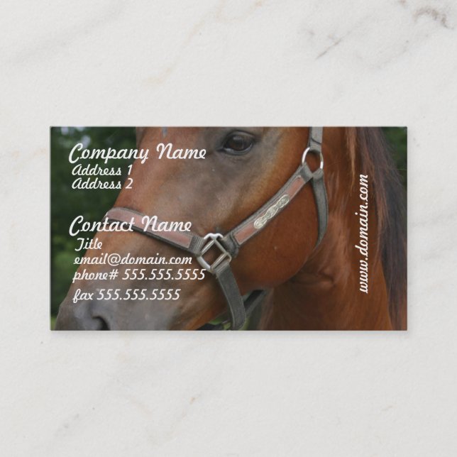 Cartes de visite de cheval de châtaigne douce (Devant)
