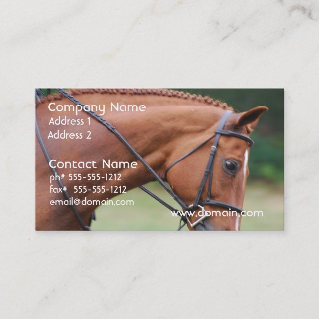 Cartes de visite de cheval d'exposition de (Devant)