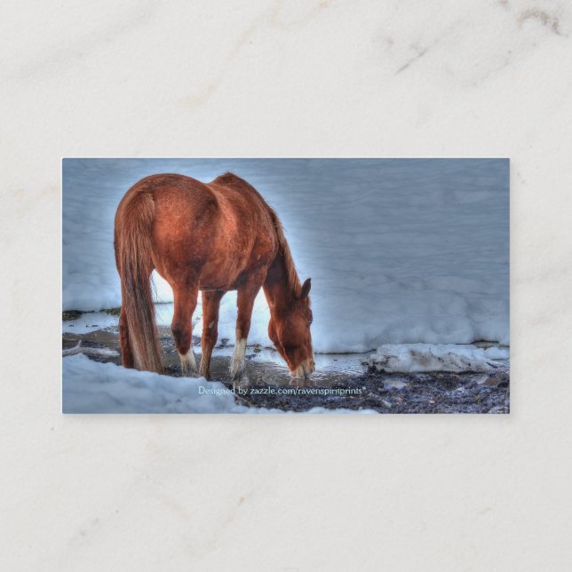 Cartes de visite de Chevaux à outils en cuir,  de  (Dos)