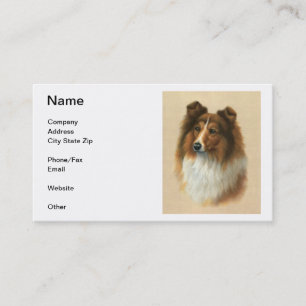 Cartes de visite de chien de berger de Shetland