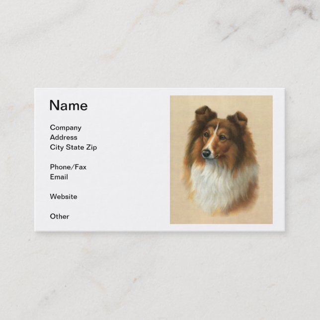 Cartes de visite de chien de berger de Shetland (Devant)