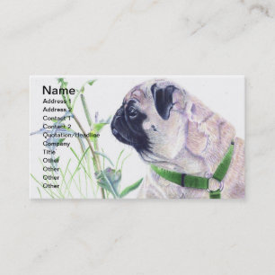 Cartes de visite de chien de carlin