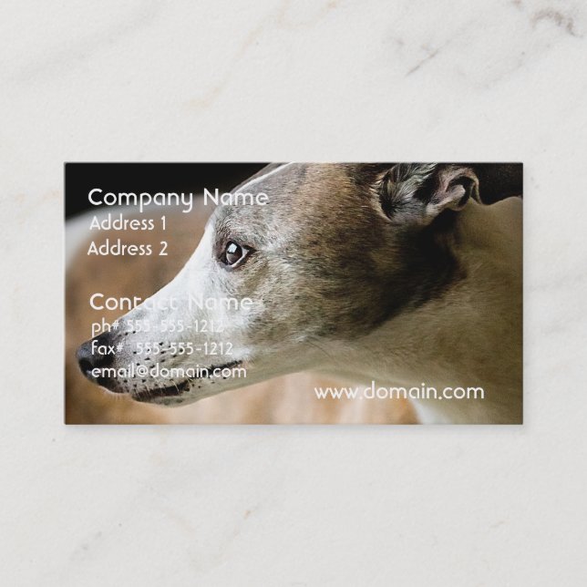 Cartes de visite de chien de lévrier (Devant)