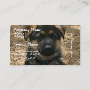 Cartes de visite de chiot de berger
