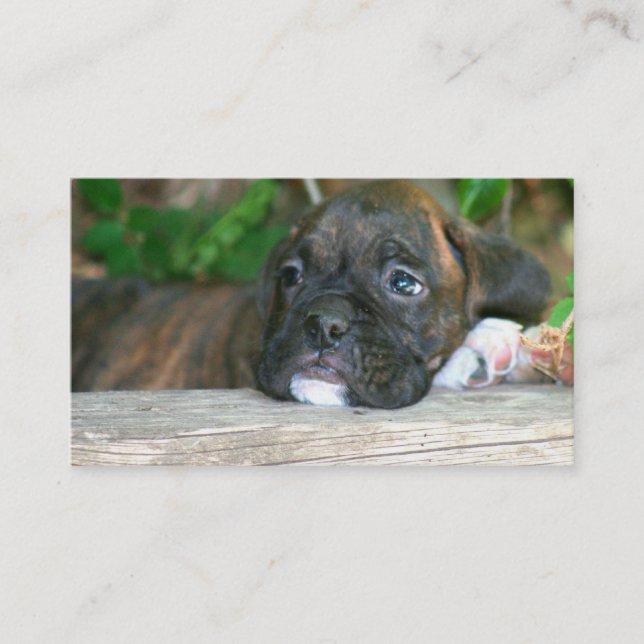 Cartes de visite de chiot de boxeur (Devant)