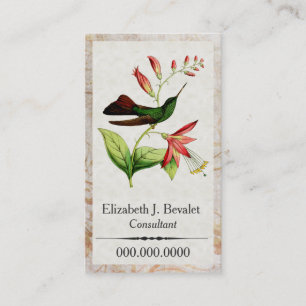 Cartes de visite de colibri de Plumeleteer