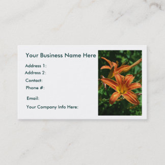 Cartes de visite de Daylily