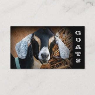 Cartes de visite de ferme de chèvre