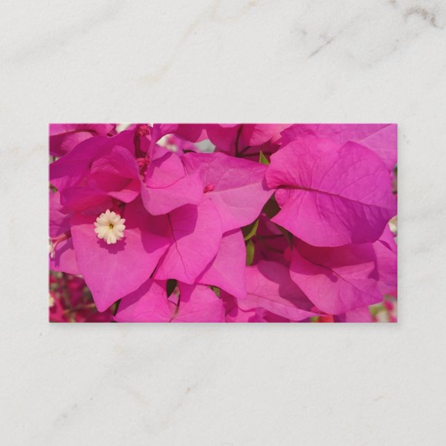 Cartes de visite de fleur de bouganvillée (Devant)