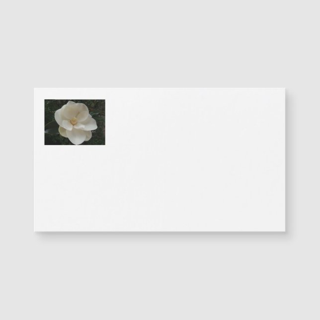 Cartes de visite de fleur de magnolia (Devant)