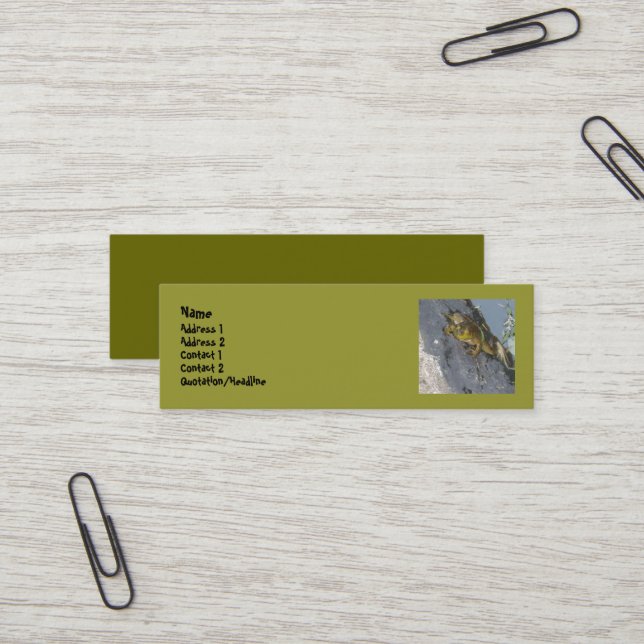 Cartes de visite de grenouille (Devant/Arrière en situation)
