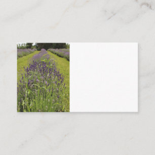 Cartes de visite de la ferme de lavande Seafoam